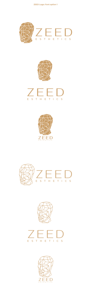 Logo Design by Oleksandr Tovarkov for Bucharest Accomodation & Style SRL | Design: #27814485