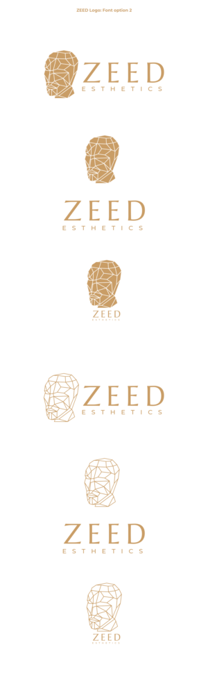 Logo Design by Oleksandr Tovarkov for Bucharest Accomodation & Style SRL | Design: #27814486