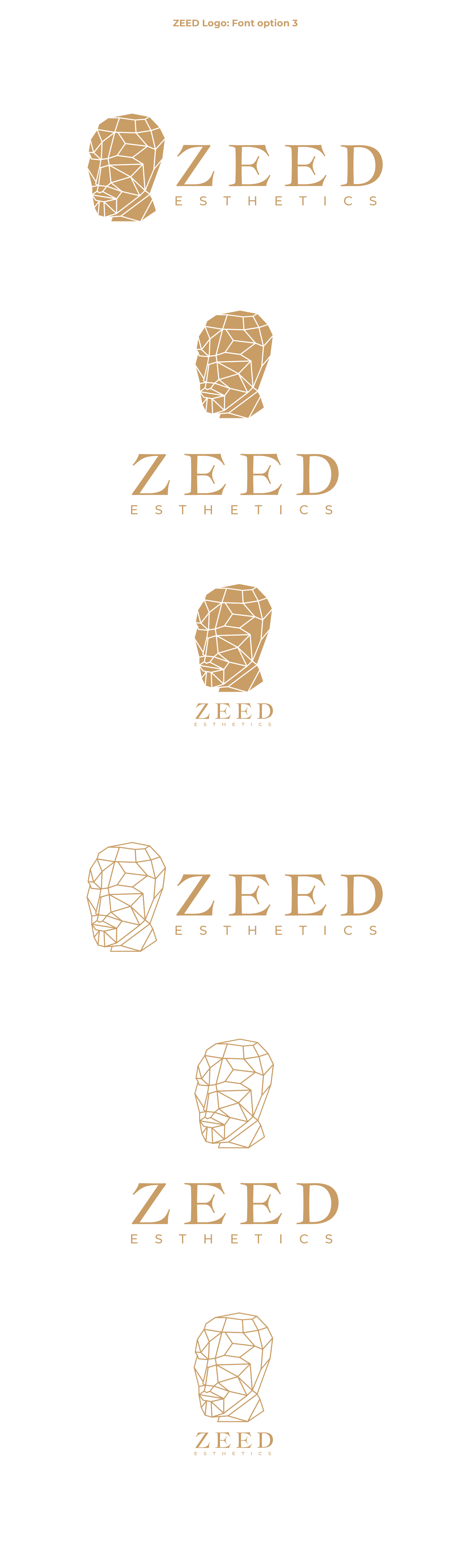 Logo Design by Oleksandr Tovarkov for Bucharest Accomodation & Style SRL | Design #27814488
