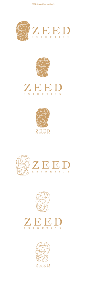 Logo Design by Oleksandr Tovarkov for Bucharest Accomodation & Style SRL | Design: #27814488