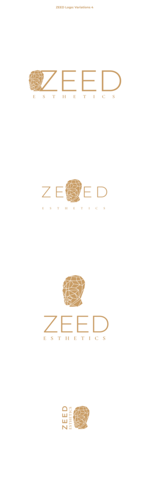 Logo Design by Oleksandr Tovarkov for Bucharest Accomodation & Style SRL | Design: #27816329