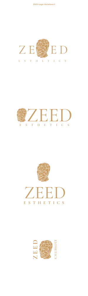 Logo Design by Oleksandr Tovarkov for Bucharest Accomodation & Style SRL | Design: #27816330