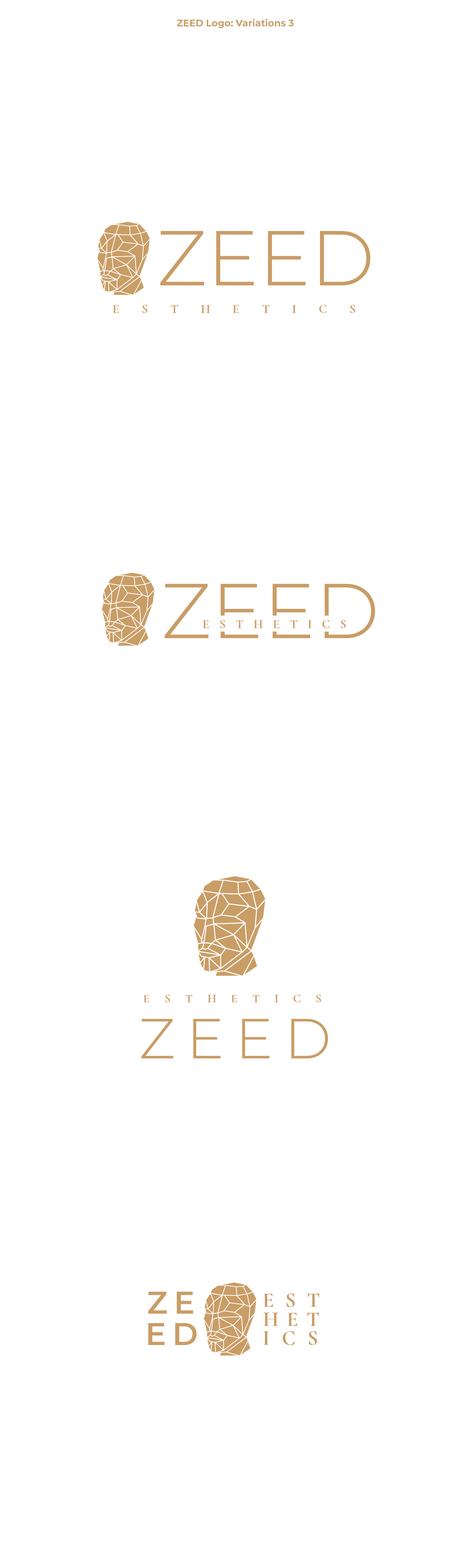 Logo Design by Oleksandr Tovarkov for Bucharest Accomodation & Style SRL | Design: #27816331