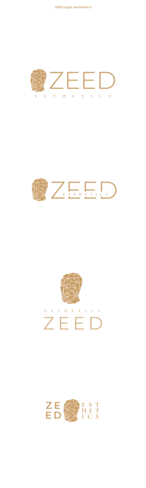 Logo Design by Oleksandr Tovarkov for Bucharest Accomodation & Style SRL | Design: #27816331