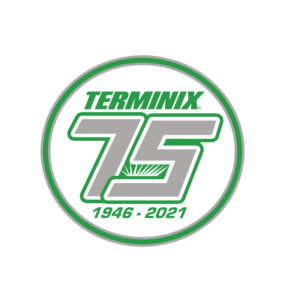 T-shirt Design by JKIANN08 for this project | Design: #27788794