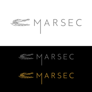 Logo Design by mbah dudung for this project | Design #27792381