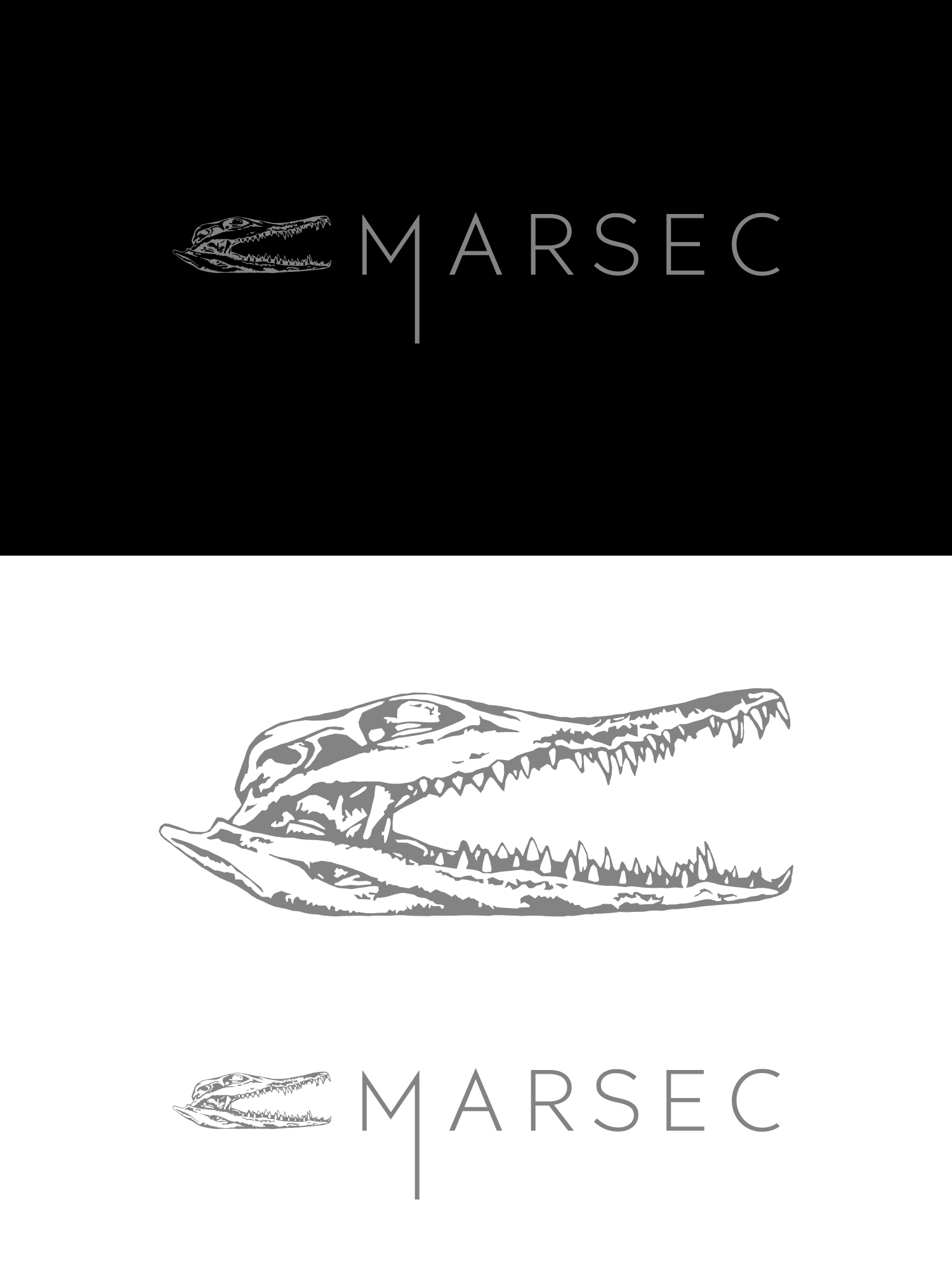 Logo Design by Oleksandr Tovarkov for this project | Design #27790125