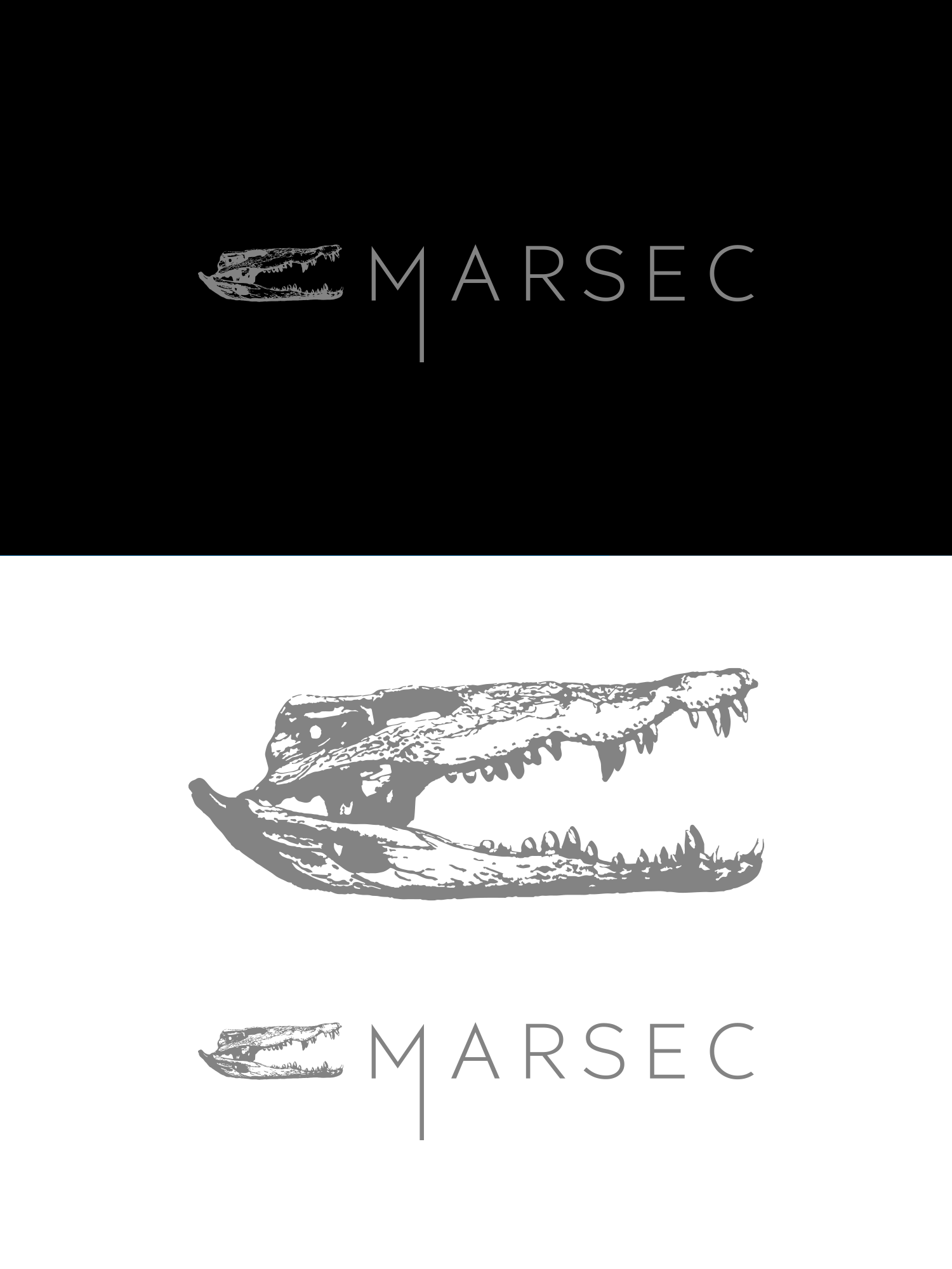 Logo Design by Oleksandr Tovarkov for this project | Design #27794672