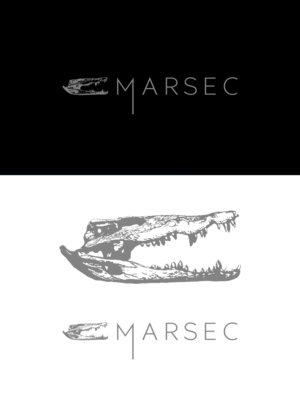 Logo Design by Oleksandr Tovarkov for this project | Design: #27794672