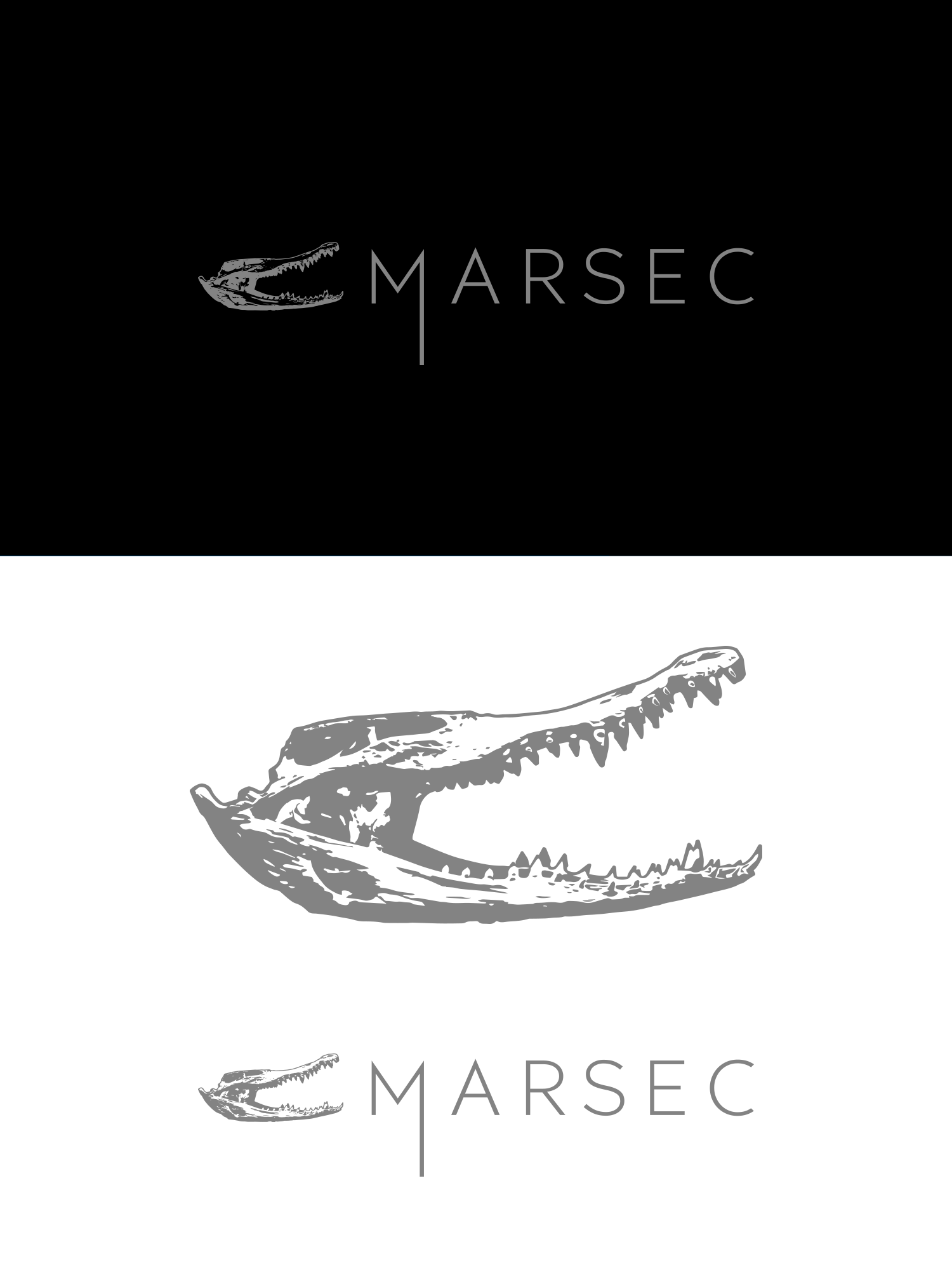 Design de Logo par Oleksandr Tovarkov pour ce projet | Design #27794826