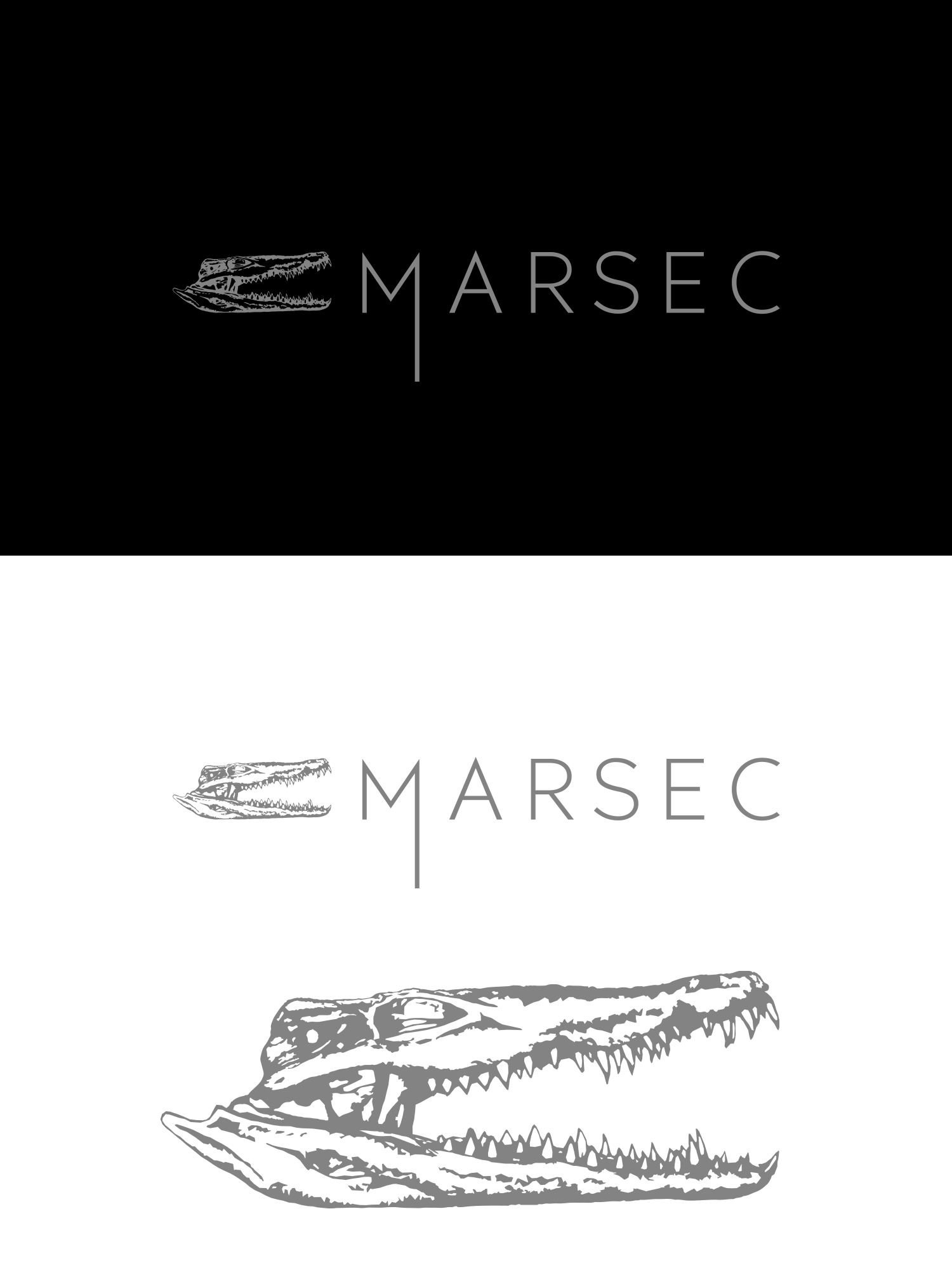 Logo Design by Oleksandr Tovarkov for this project | Design #27802879