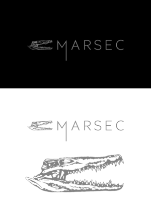 Logo Design by Oleksandr Tovarkov for this project | Design: #27802879