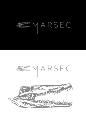 Logo Design by Oleksandr Tovarkov for this project | Design: #27813730