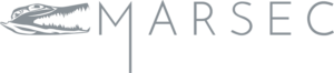 Logo Design by Jacobarts