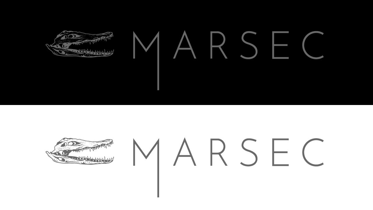 Design de Logo par Fajr. pour ce projet | Design #27794064