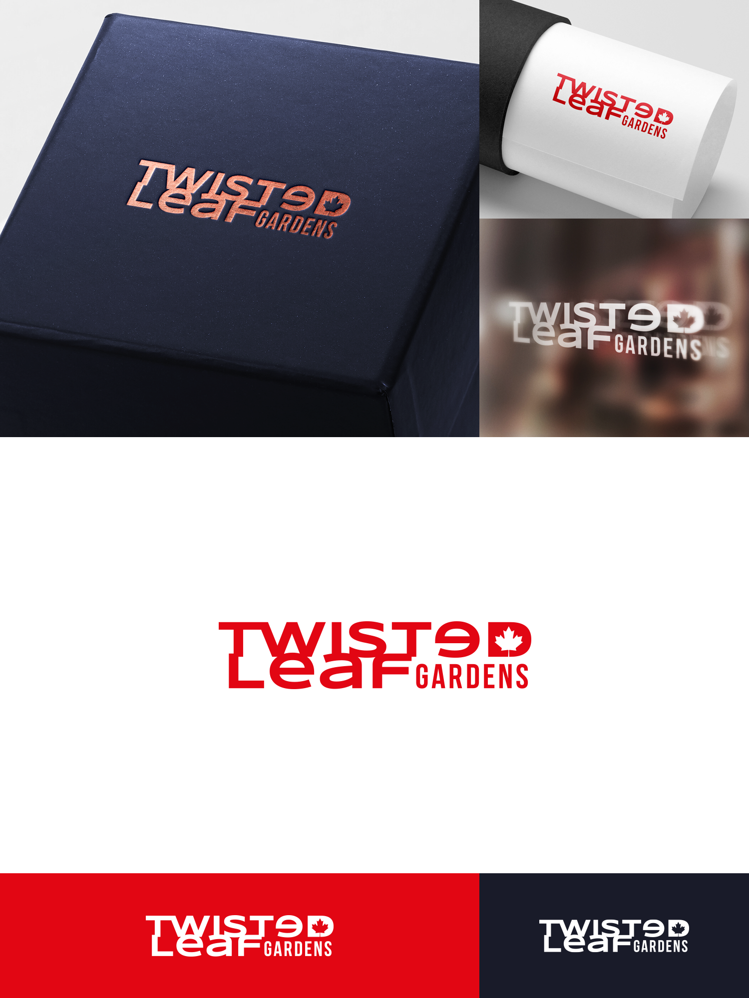 Logo Design by Oleksandr Tovarkov for this project | Design #27792914