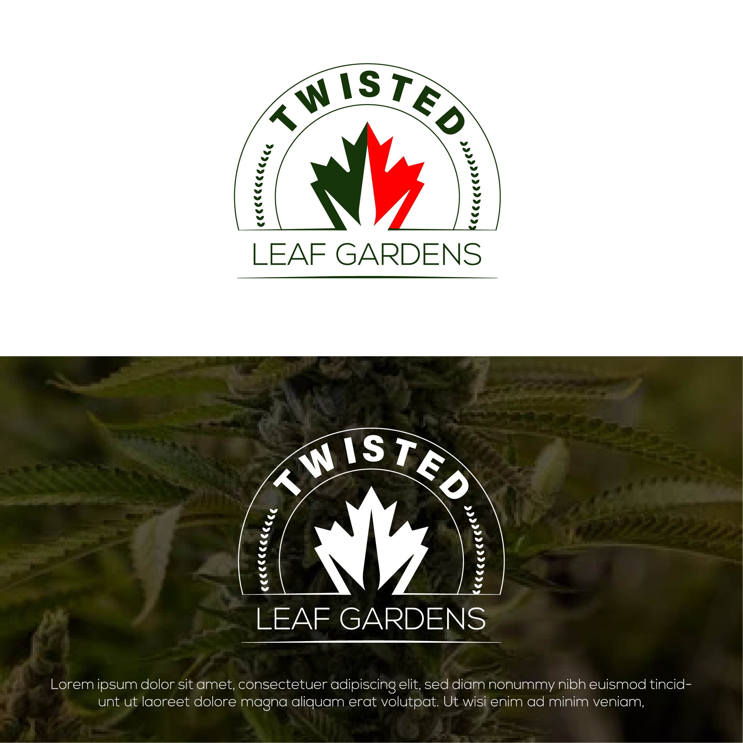 Logo Design by Walker Designer 2 for this project | Design #27792448