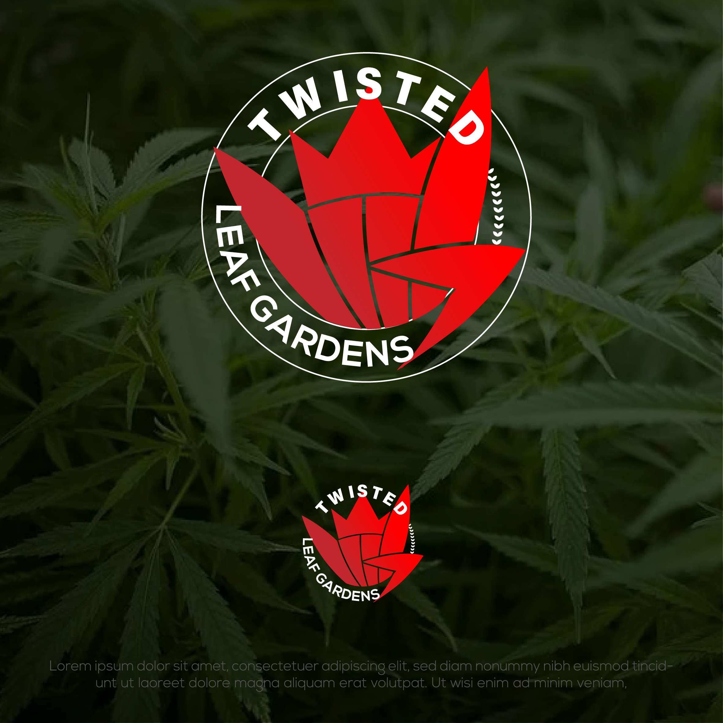 Logo Design by Walker Designer 2 for this project | Design #27792993