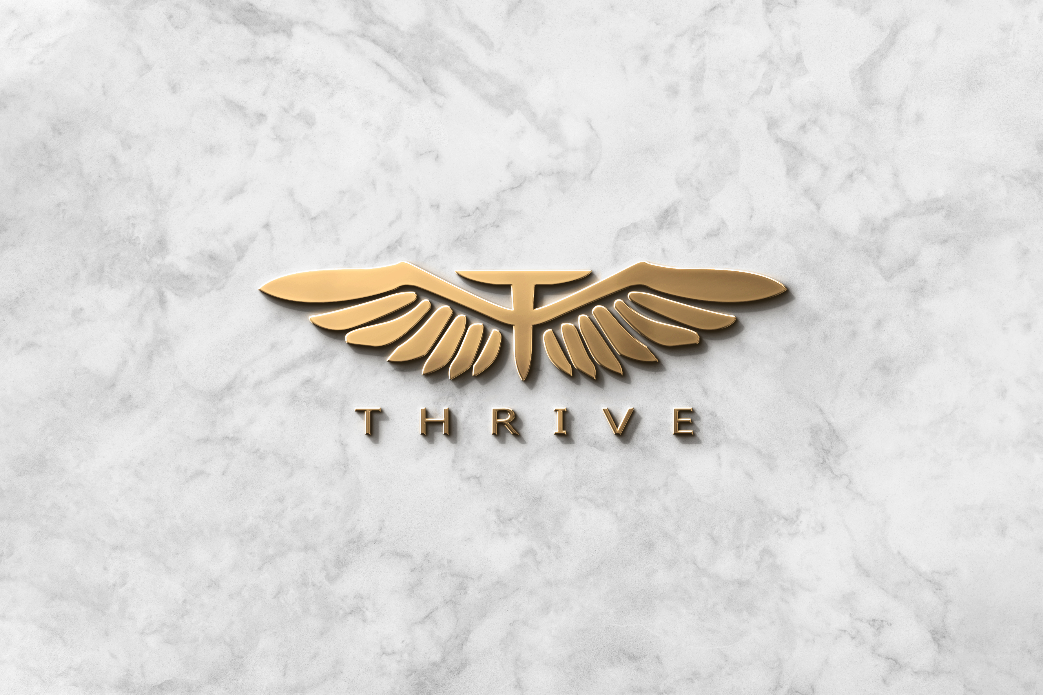 Logo Design by ELAMANTS for this project | Design #27829368