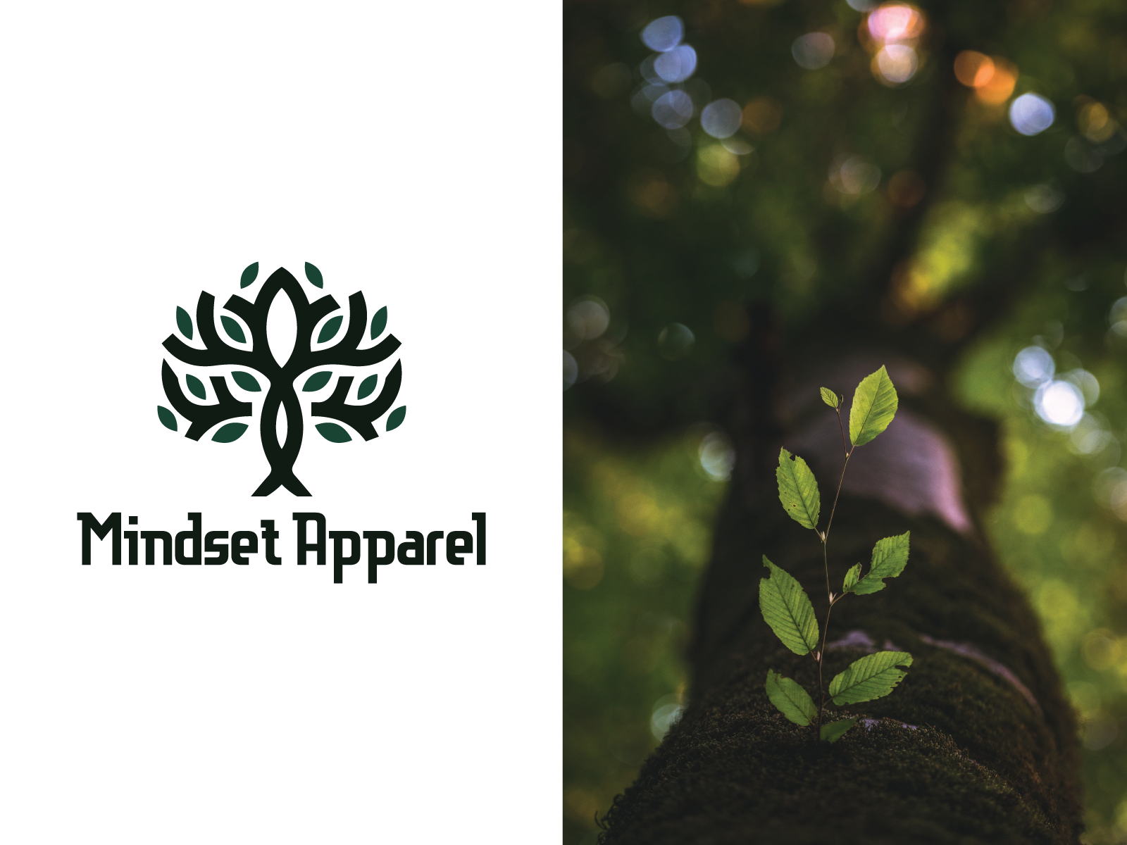 Logo Design by The Talich for this project | Design #27830470