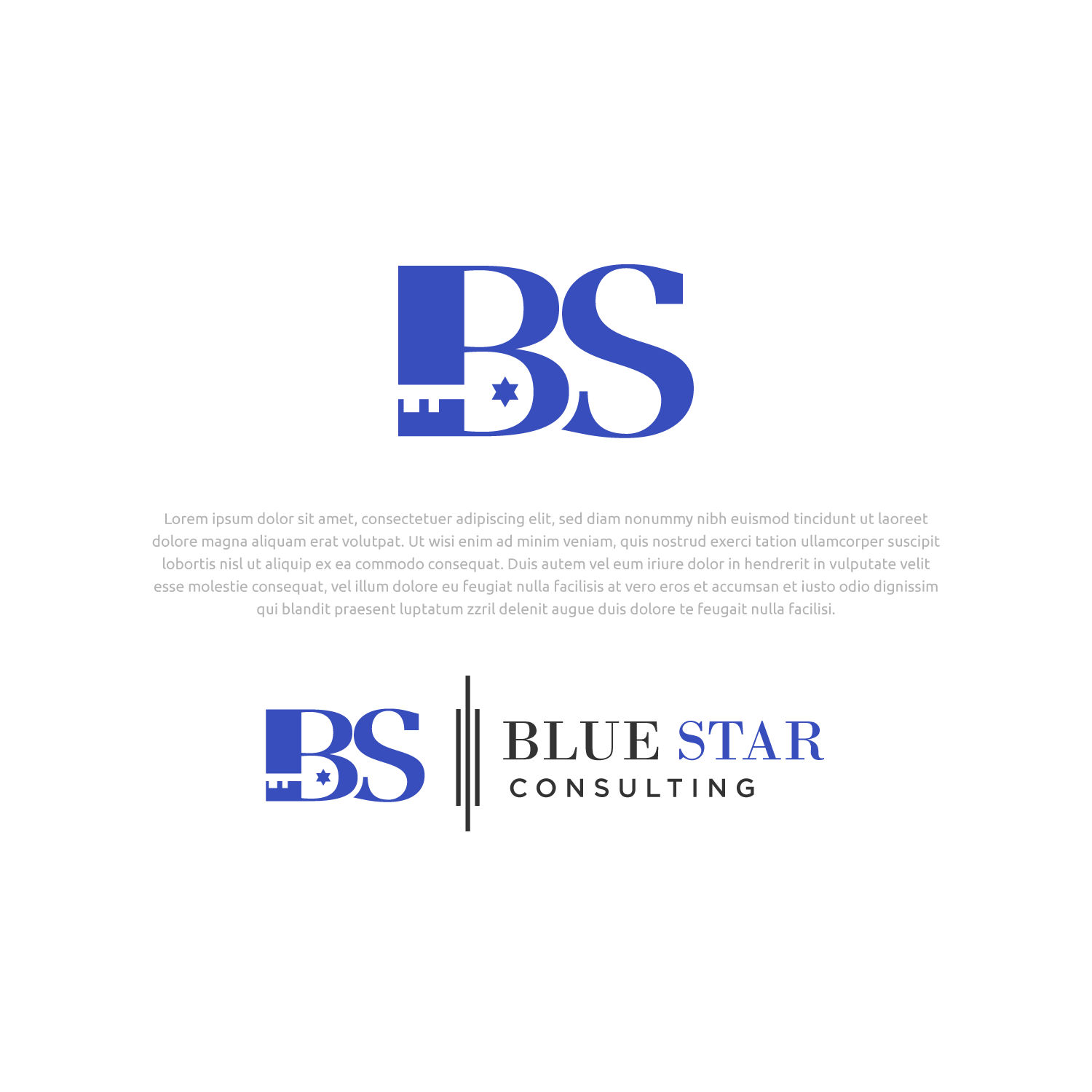 Logo Design by Abdul 20 for this project | Design #27831392