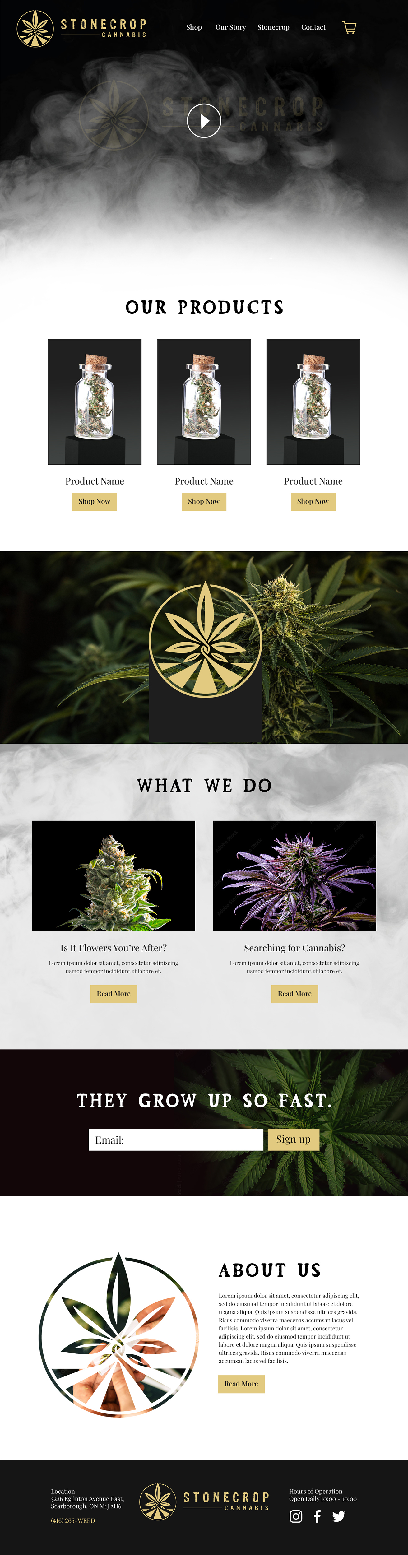 Web Design by MAHABA for Stonecrop Cannabis | Design #27821439