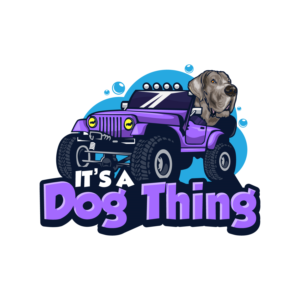 Logo Design by Dream Logo Design