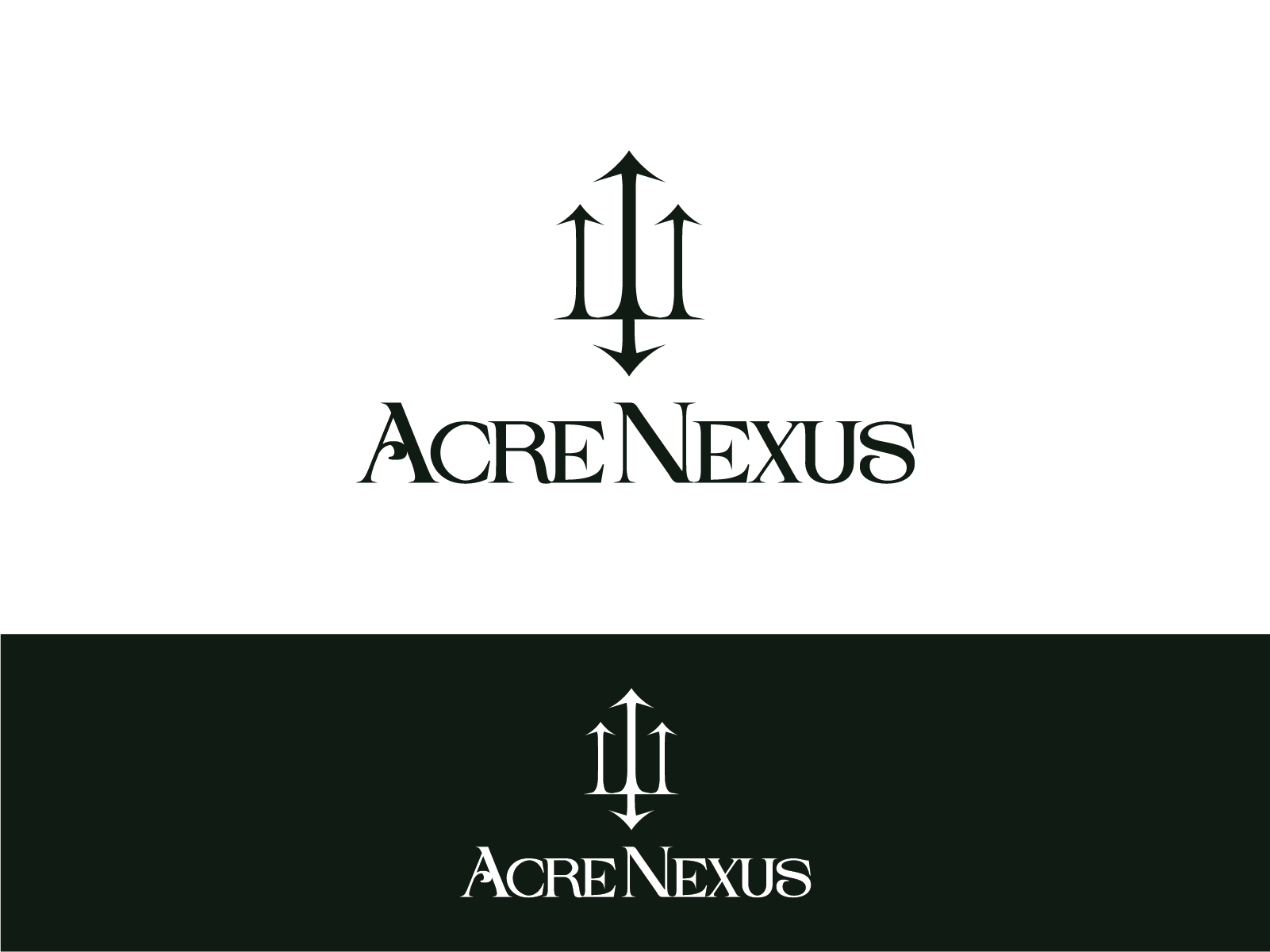 Logo Design by The Talich for Acre Nexus LLC | Design #27821274