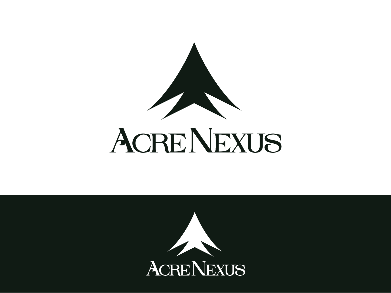 Logo Design by The Talich for Acre Nexus LLC | Design #27821290