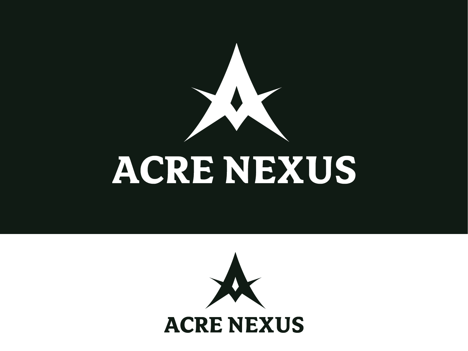 Logo Design by The Talich for Acre Nexus LLC | Design #27822146