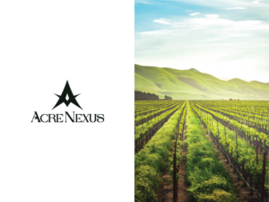 Logo Design by The Talich