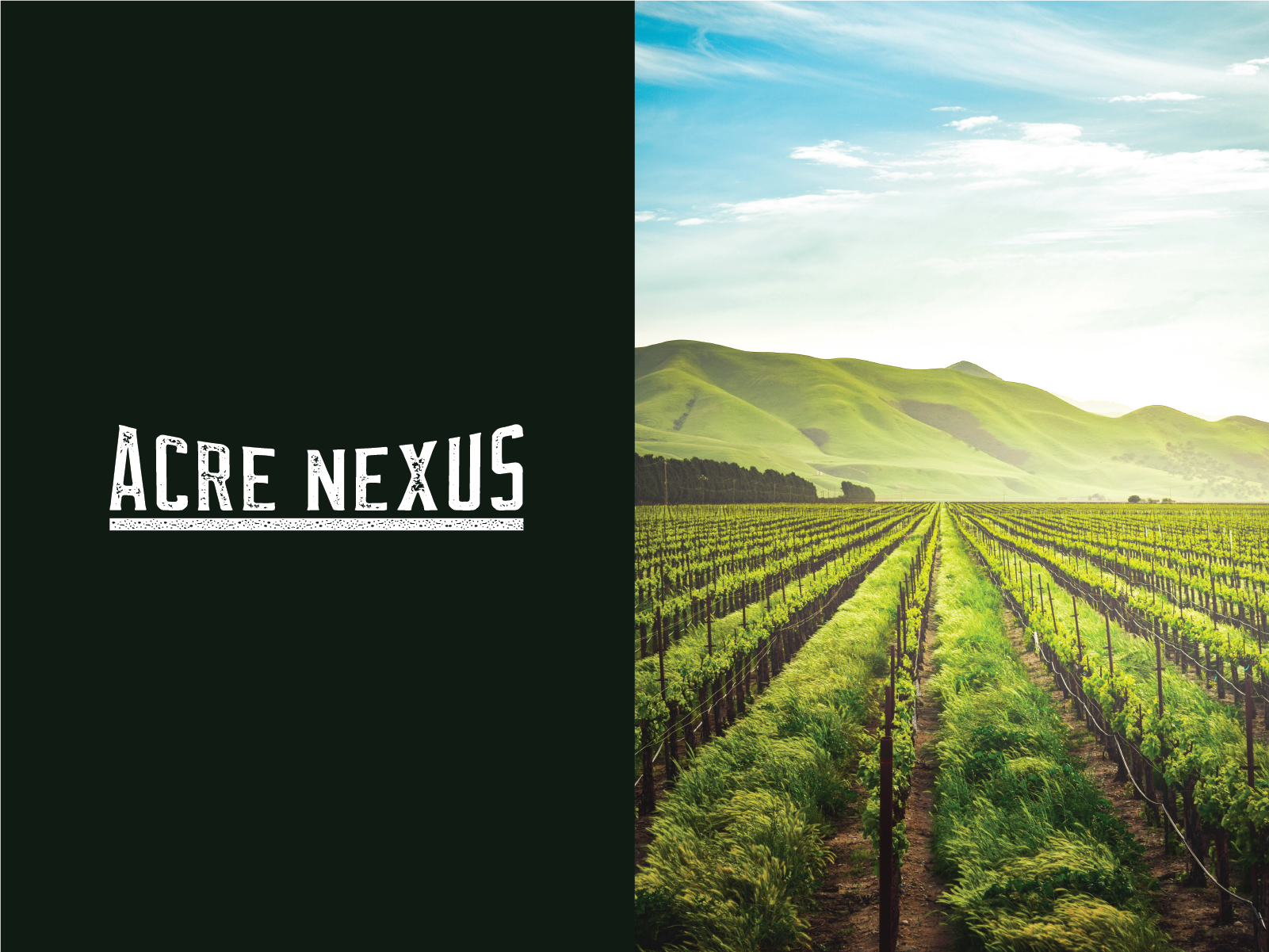 Logo Design by The Talich for Acre Nexus LLC | Design #27822551