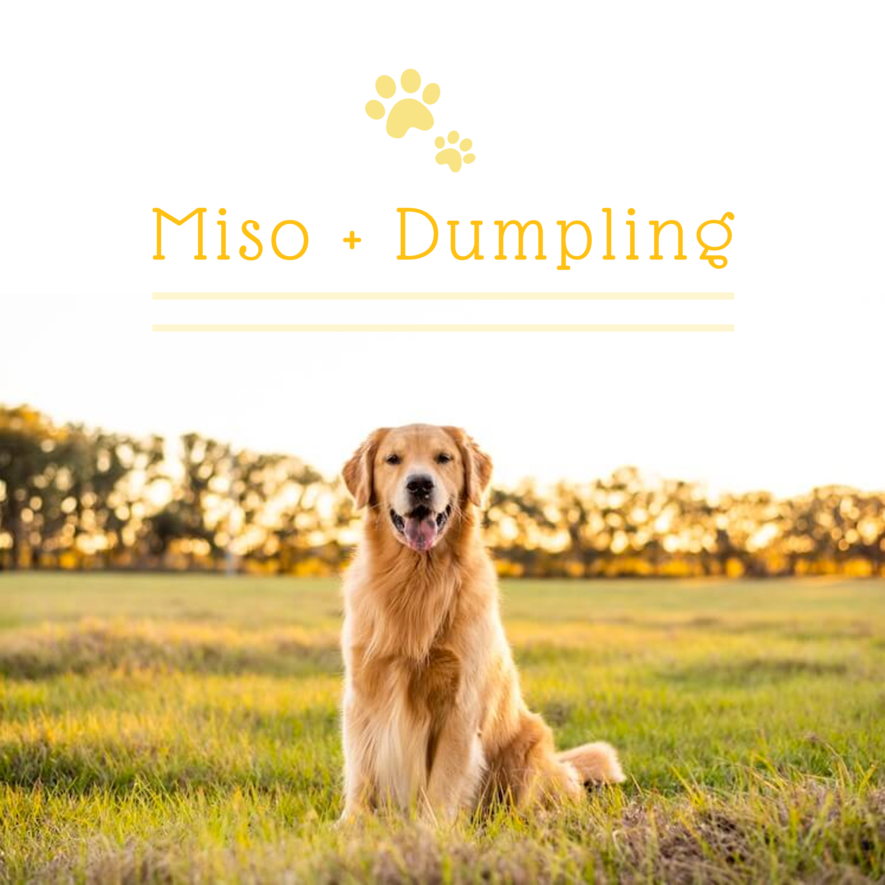 Logo Design by Briana Rae Designs for this project | Design #27820146