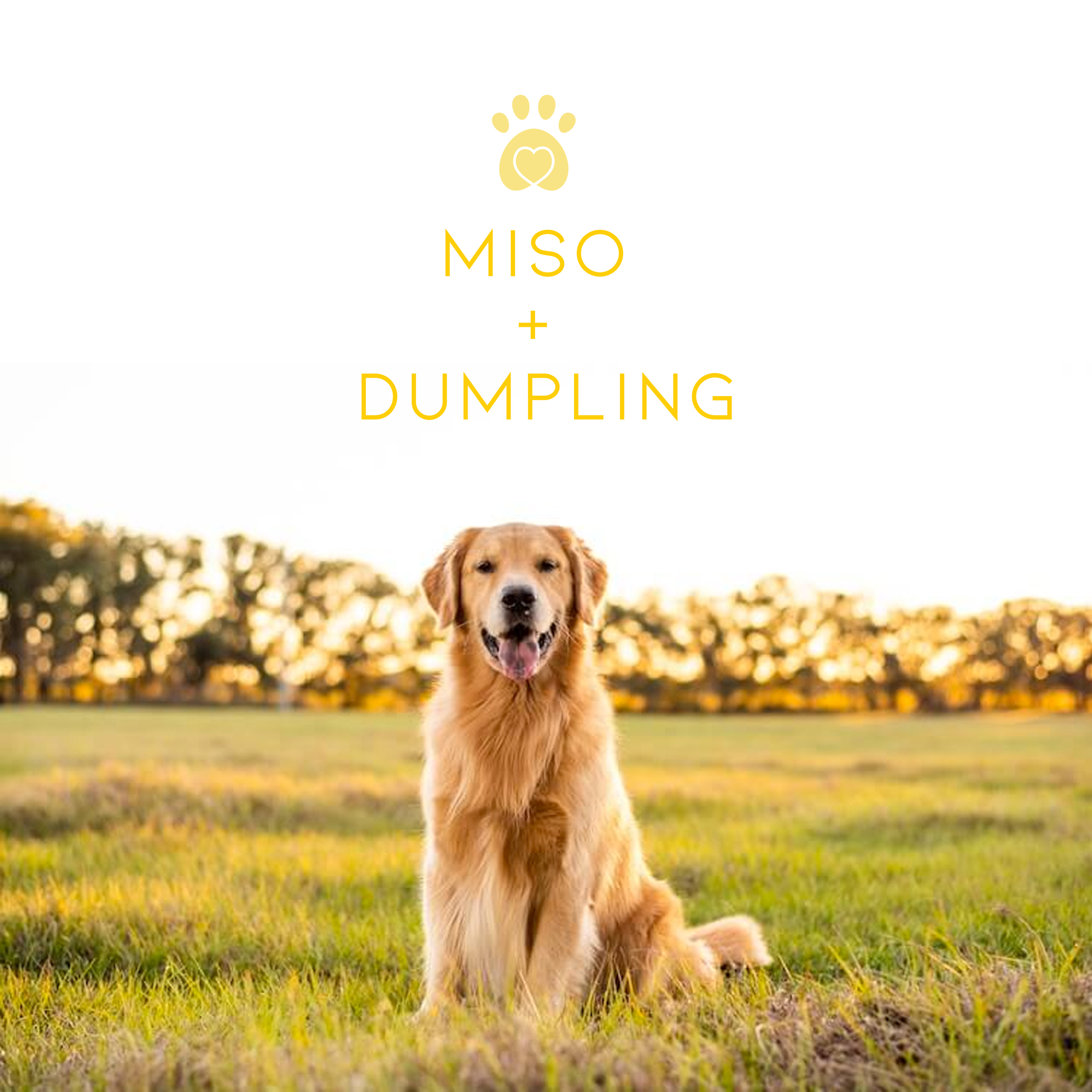 Logo Design by Briana Rae Designs for this project | Design #27820152