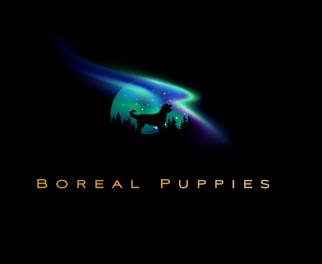 Logo-Design von Carlos Alba D. für dieses Projekt | Design #27825703