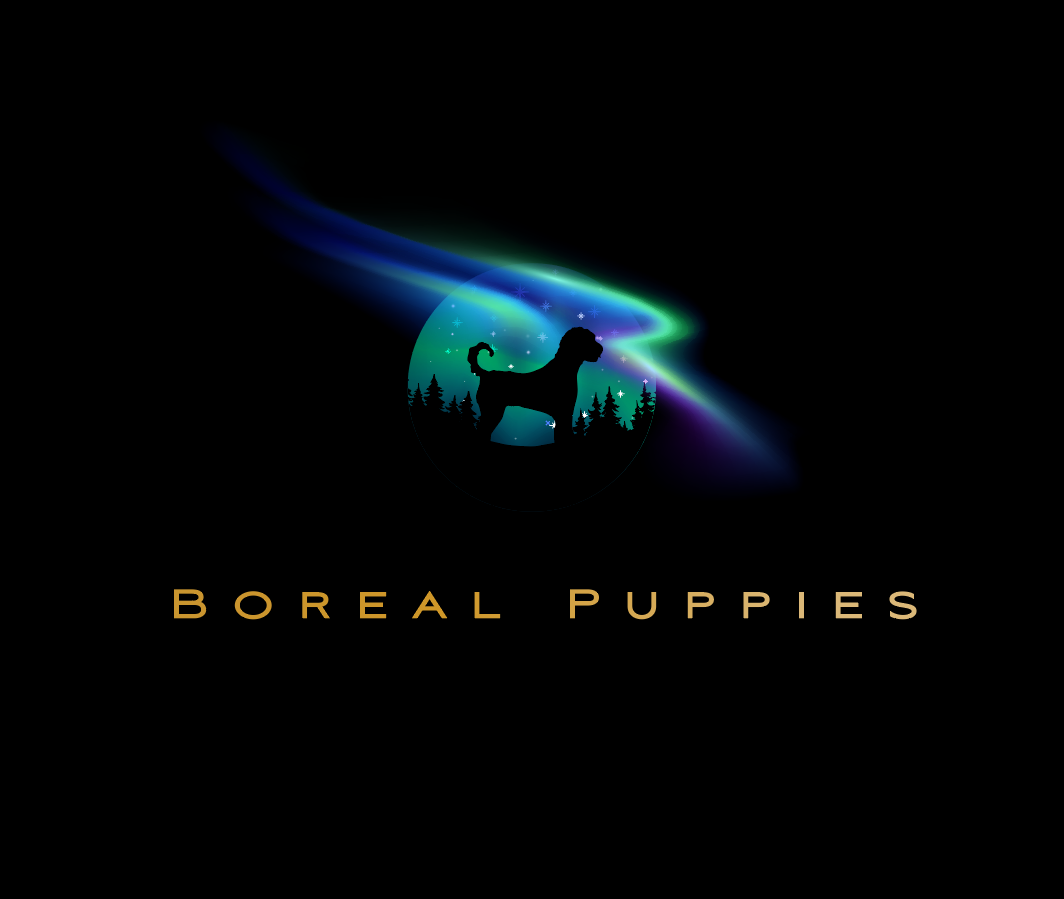 Logo Design by Carlos Alba D. for this project | Design #27825704