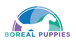 Logo Design by agdesign