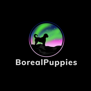 Logo-Design von Dream Logo Design für dieses Projekt | Design: #27826218