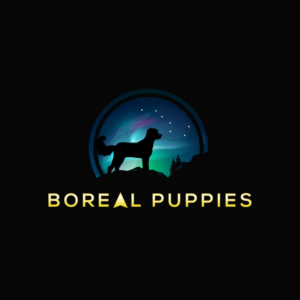 Logo-Design von Dream Logo Design für dieses Projekt | Design: #27828008