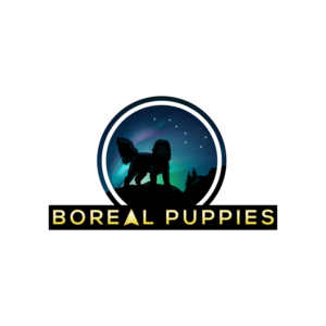 Logo-Design von Dream Logo Design für dieses Projekt | Design: #27850010