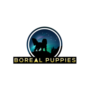 Logo-Design von Dream Logo Design für dieses Projekt | Design: #27850011