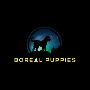 Logo-Design von Dream Logo Design für dieses Projekt | Design: #27890865