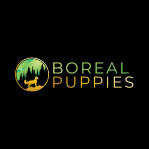 Logo Design by brand maker