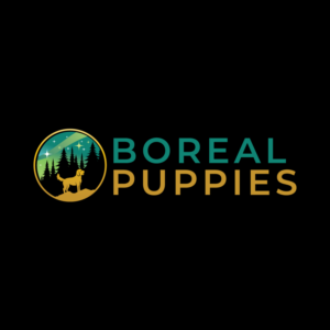 Logo-Design von brand maker für dieses Projekt | Design: #27892300