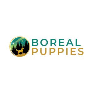 Logo-Design von brand maker für dieses Projekt | Design: #27892301