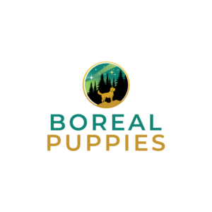 Logo-Design von brand maker für dieses Projekt | Design: #27892303
