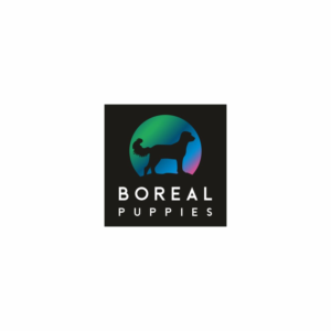 Boreal Puppies | Logo Design by Ashani Bhattacharya
