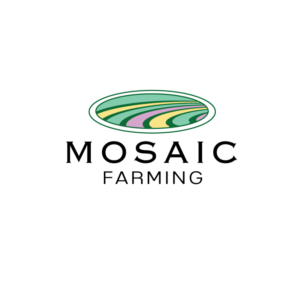 Logo Design by instudio for Mosaik Design AG | Design: #27829077