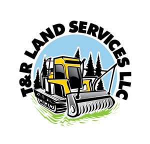 Logo Design by blue eye