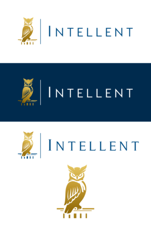Logo Design by Idea Master Plus